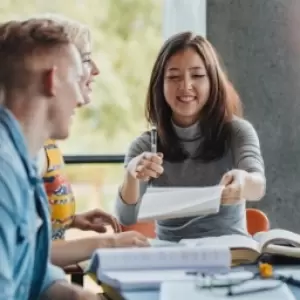 Verzuimgesprekken (Online)